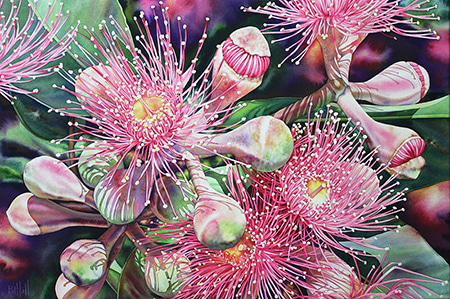 Blush by Pat Hall | Lethbridge Gallery